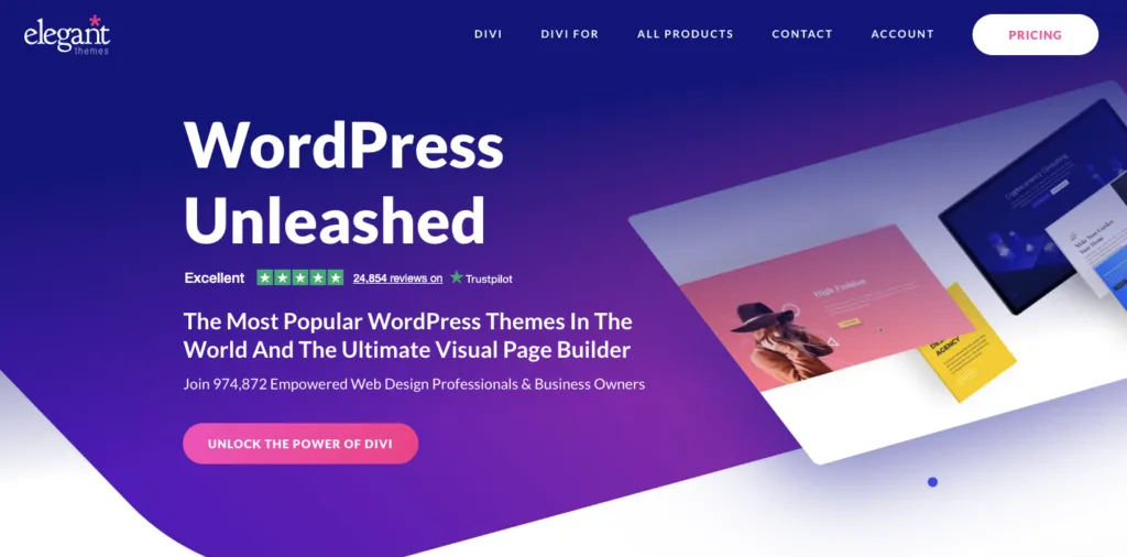 Divi responsive WordPress theme homepage image