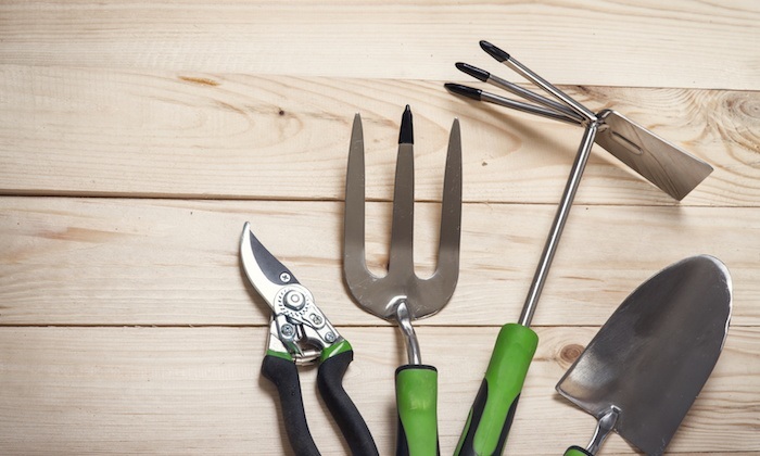 4 SEO Tools to Kick-start Your Search Campaign