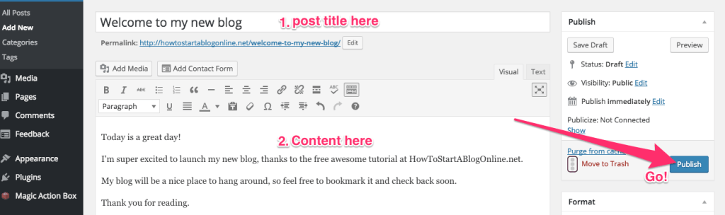 start-a-blog-publish-post