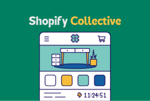How to set up Shopify Collective in your store 2024 image