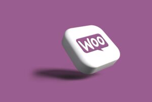 Top 10 Best WooCommerce Migration Plugins for 2024 Image