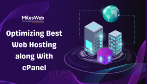 Optimizing Best Web Hosting along With cPanel 1