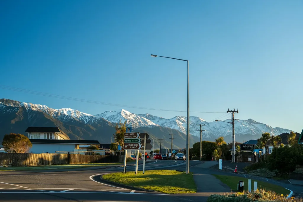 The Art of Building a Life Worth Living in New Zealand 2