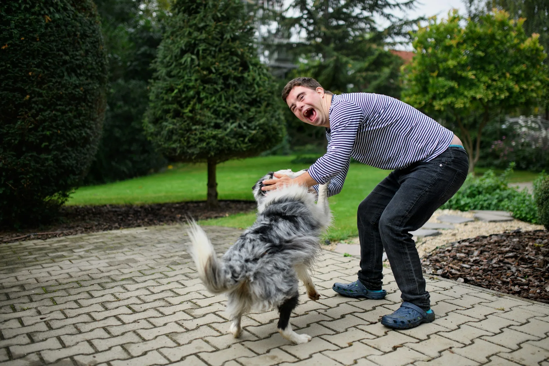 Medical and Financial Recovery Steps After a Dog Attack